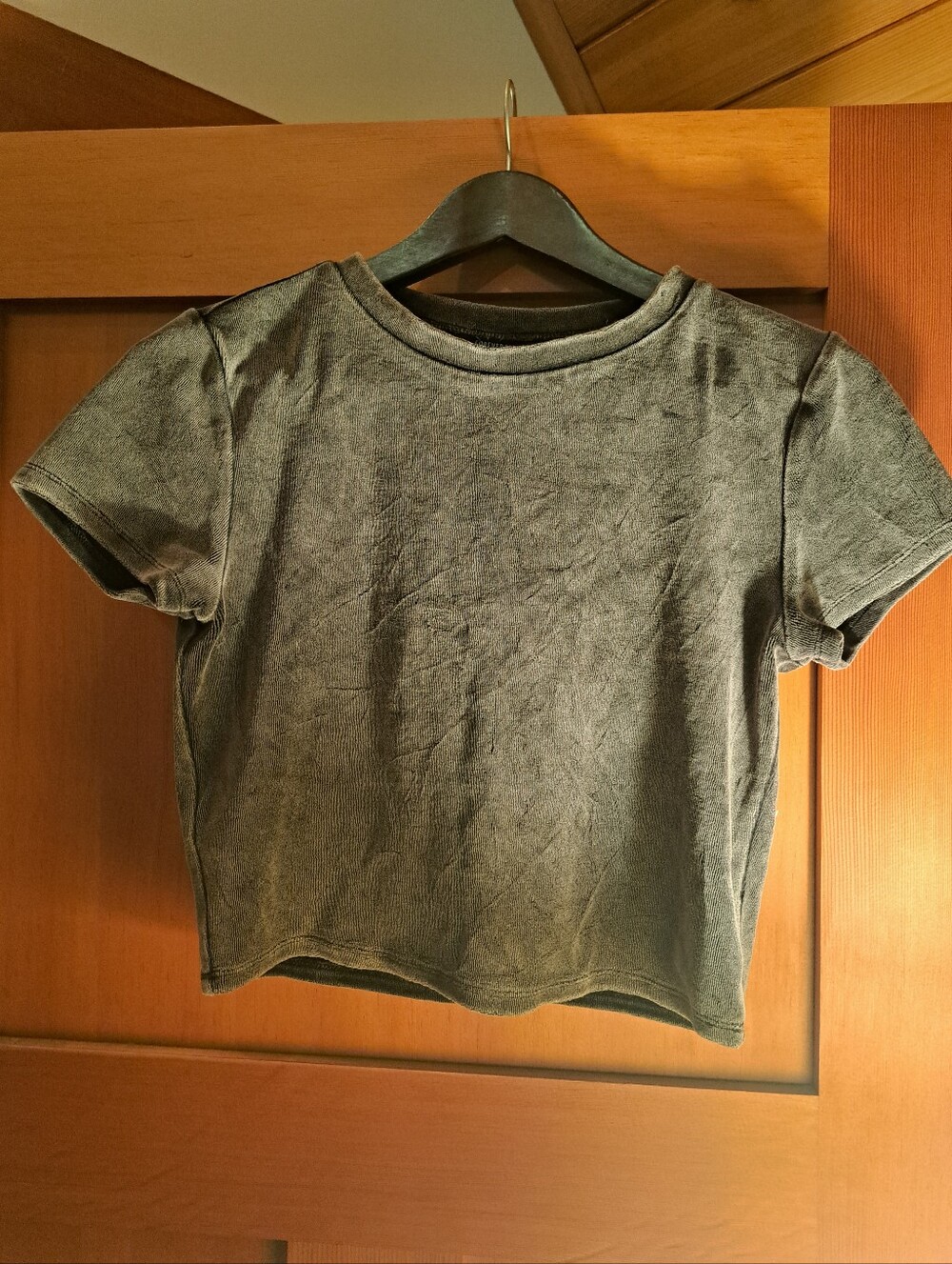 Cropped Sweatshirt, Short Sleeve in Charcoal Gray
